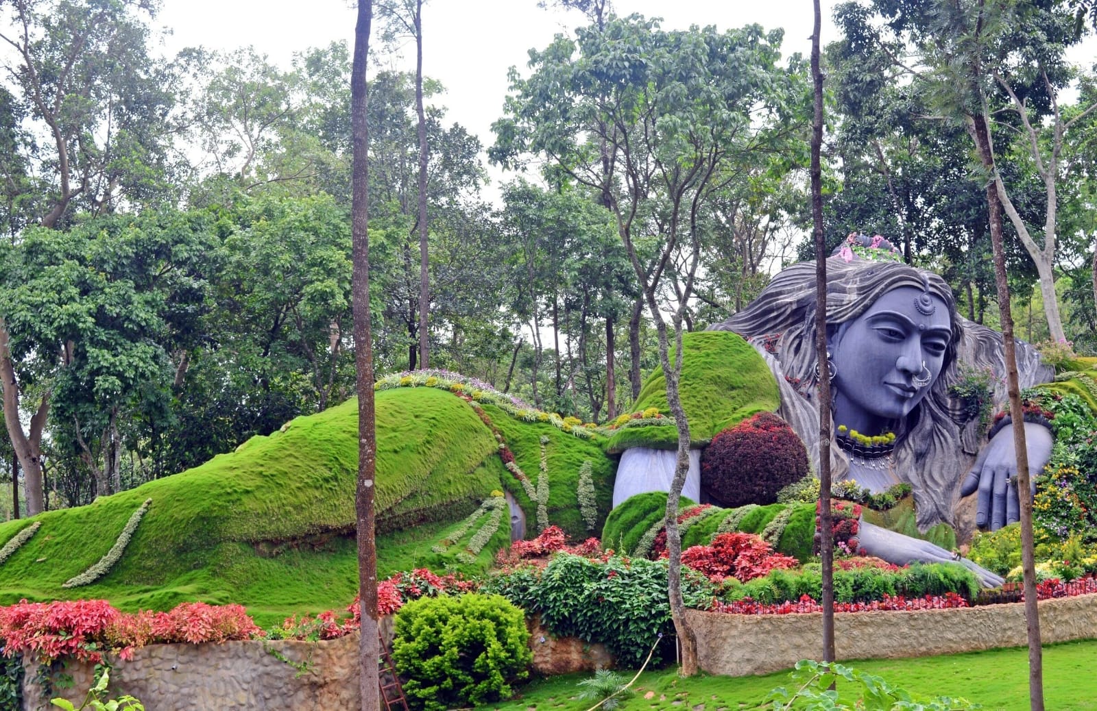 Green hills and misty landscape in Chikkamagaluru