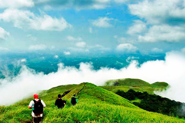 Green hills and coffee-growing scenery in Coorg